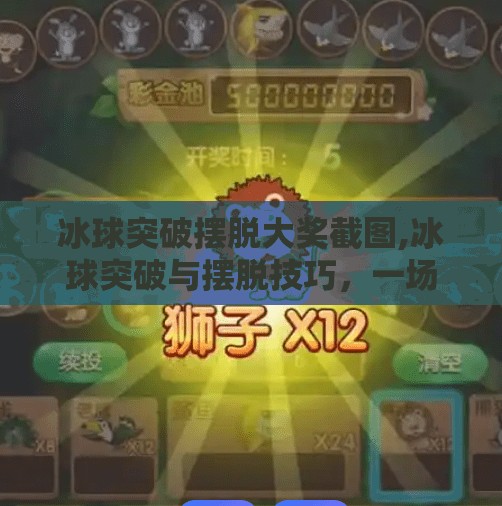 冰球突破摆脱大奖截图,冰球突破与摆脱技巧,一场竞技盛宴的幕后故事