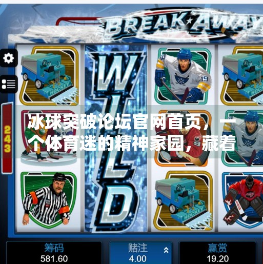 冰球突破论坛官网首页，一个体育迷的精神家园，藏着多少热血与梦想？冰球突破论坛官网首页